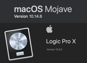 Installing LPX 10.5 and Mojave on a non-T2 Chip Mac in a Catalina world (and links for T2 Macs).